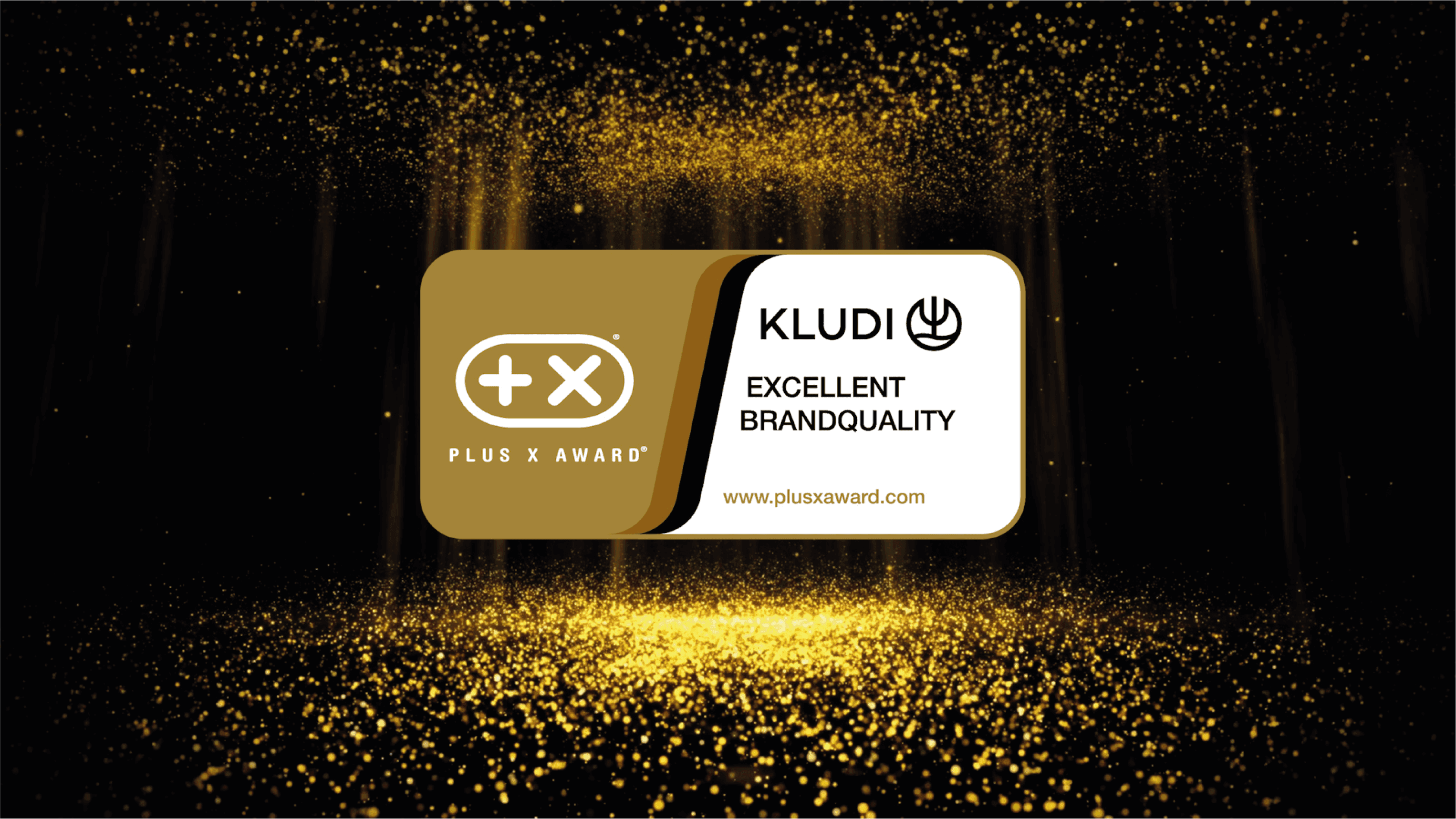 Image for KLUDI Wins PLUS X AWARD for EXCELLENT BRAND QUALITY